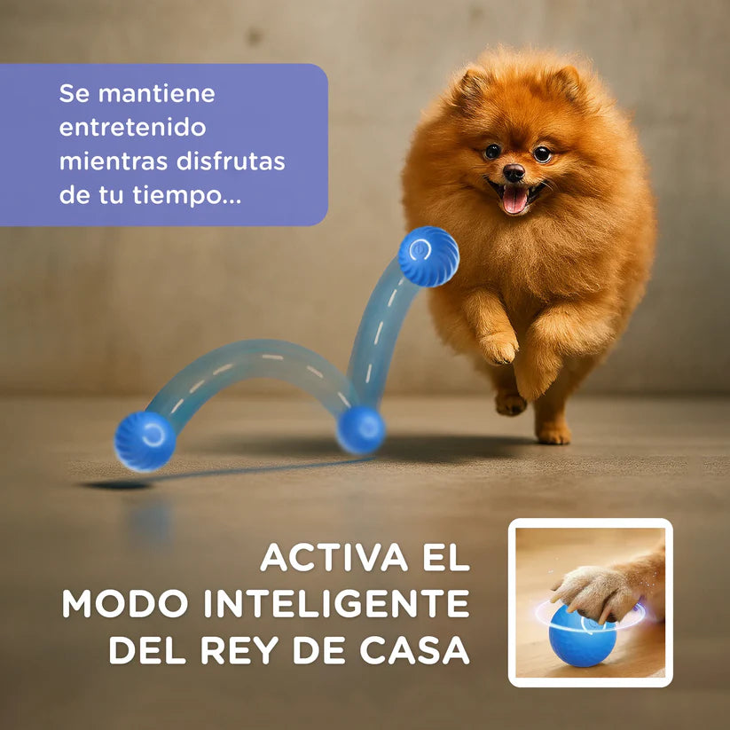 Pelota Interactiva para mascotas